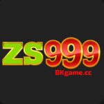 ZS999 game