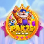 PAK75 game