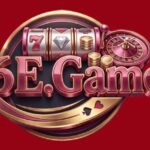 6E Game Official Image