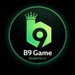 B9 Game Official Image