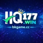 HQ 177 Game Official Image